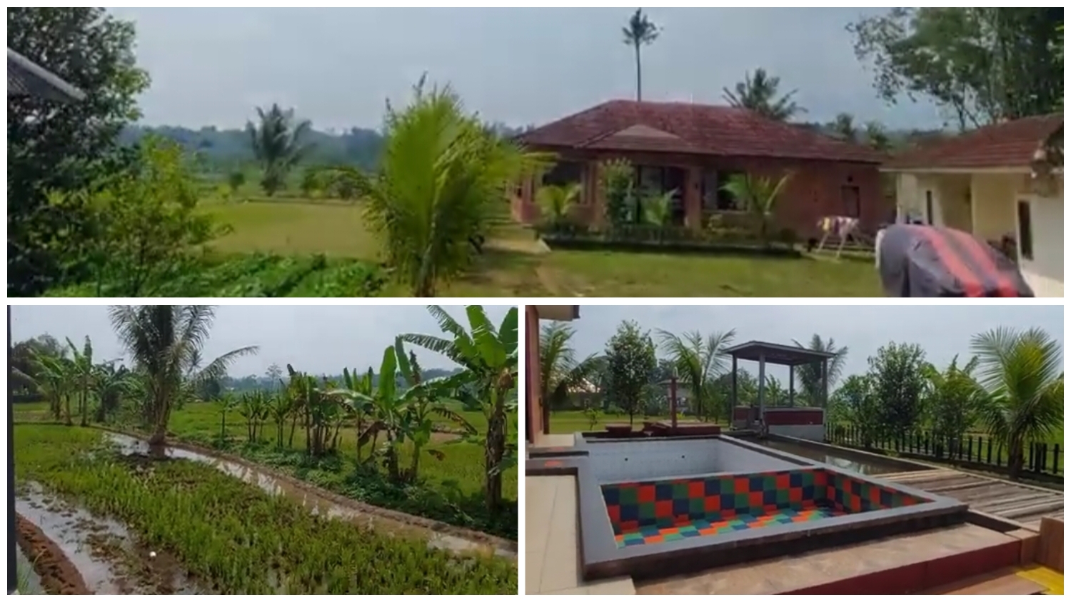 Liburan akhir tahun menyenangkan di Villa Engkong Ciawi.