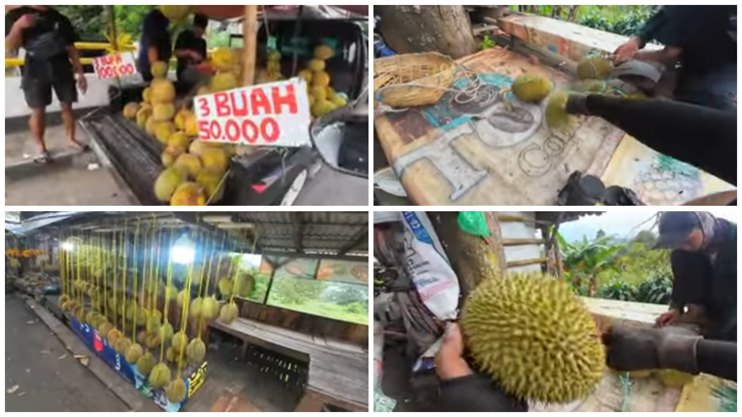 Ilustrasi kampung durian lokal di Bogor banyak digemari banyak orang.