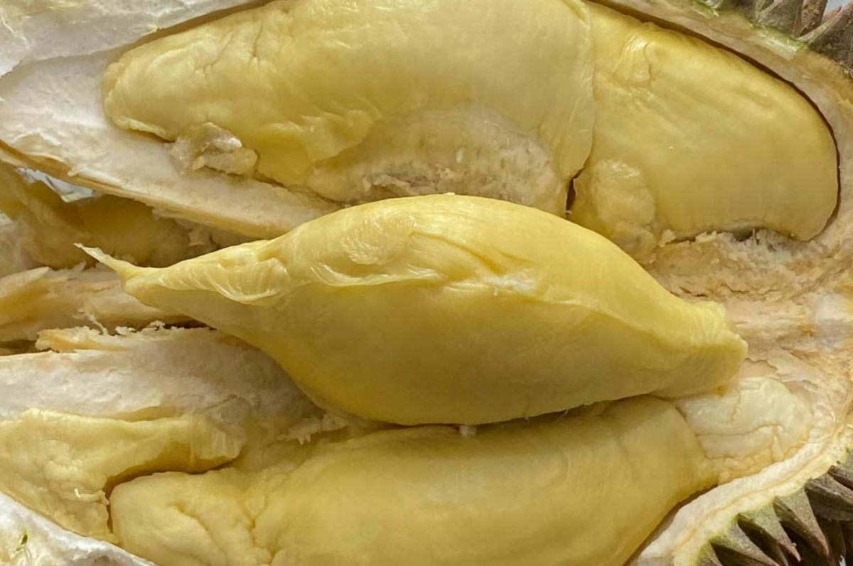Manfaat dan dampak  negatif terlalu banyak makan Durian bagi kesehatan.