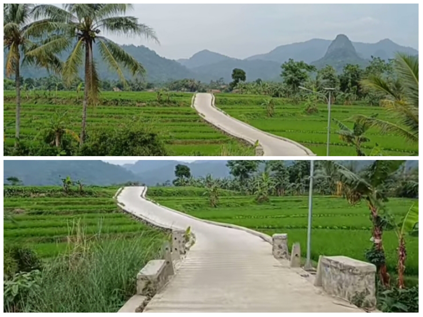 Menikmati keindahan alam sepanjang jalur menuju Kampung Kadongdong, Cariu, Bogor.