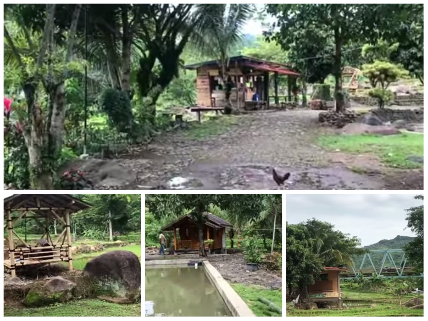 View alam yang sejuk di Saung Pinggir Kali Puncak 2 Sukamakmur.
