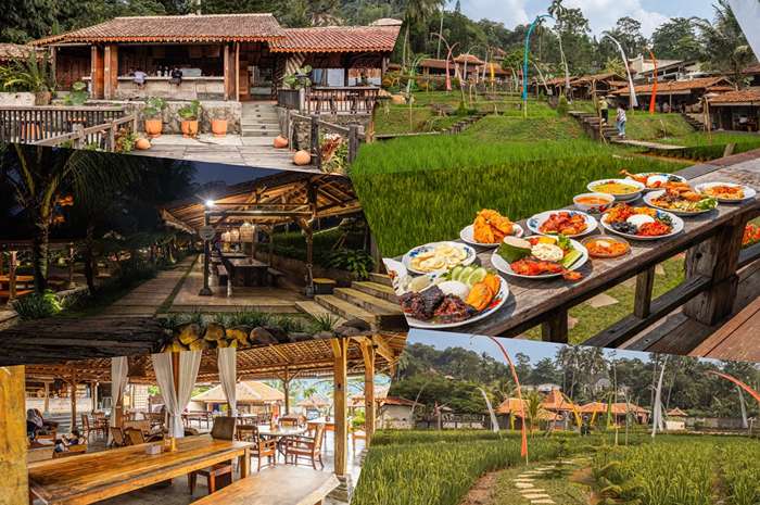 Syahdu dan sejuknya restoran Ngopi Di Sawah.