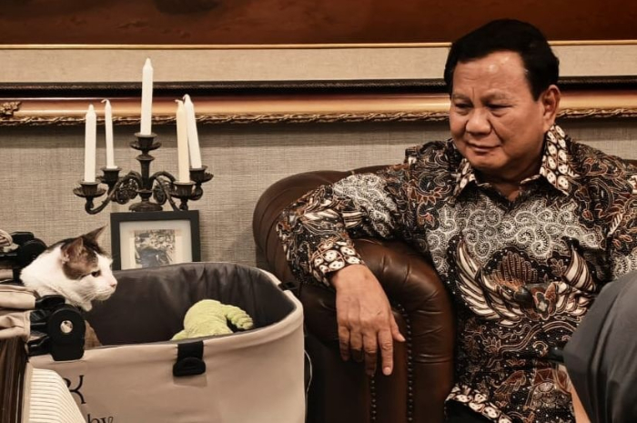 Presiden Prabowo sedang bersama kucing kesayangannya.