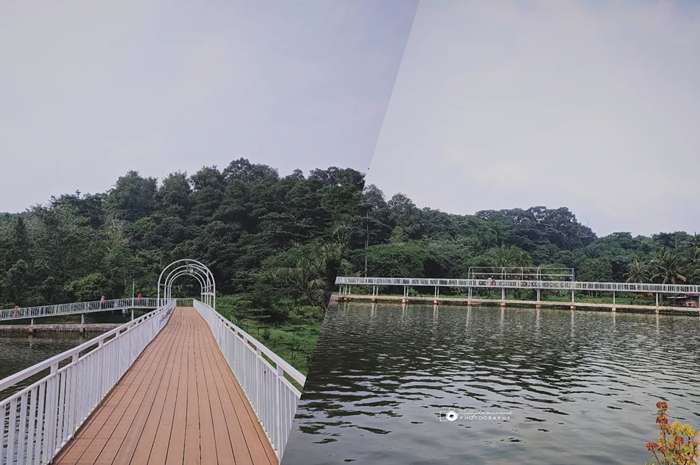 Suasana alam Situ Gede.