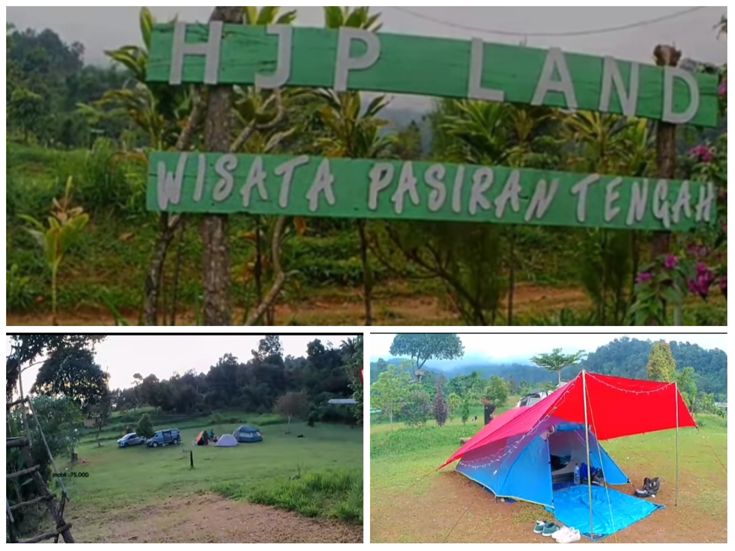 Area wisata camping luas Panorama Pinus HJP Land.