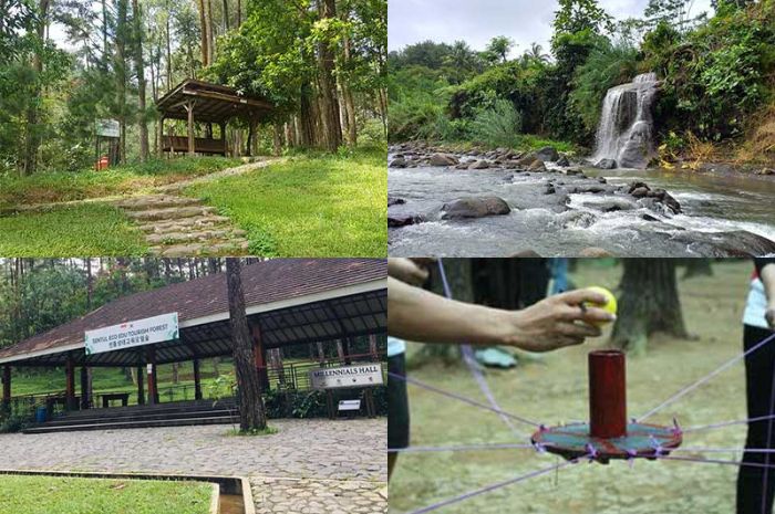 Ini dia daftar aktivitas seru yang bisa kamu lakukan di Sentul Eco Edu Tourism Forest! Liburan sambil belajar dan berpetualang.