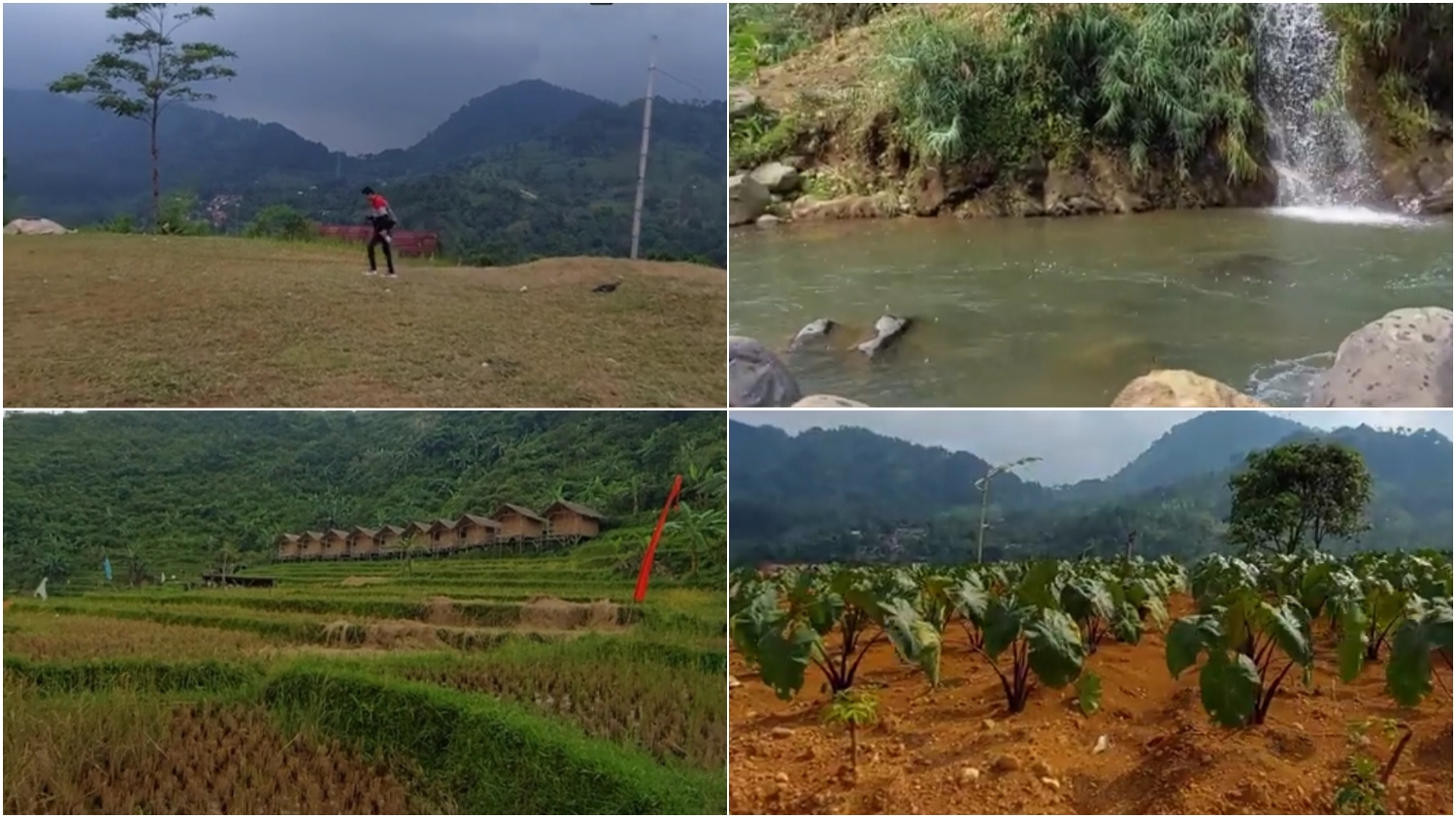 Destinasi wisata trekking Bukit Ilalang Sentul Bogor.