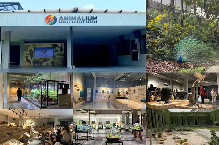 Wisata edukasi seru Animalium BRIN Cibinong Bogor
