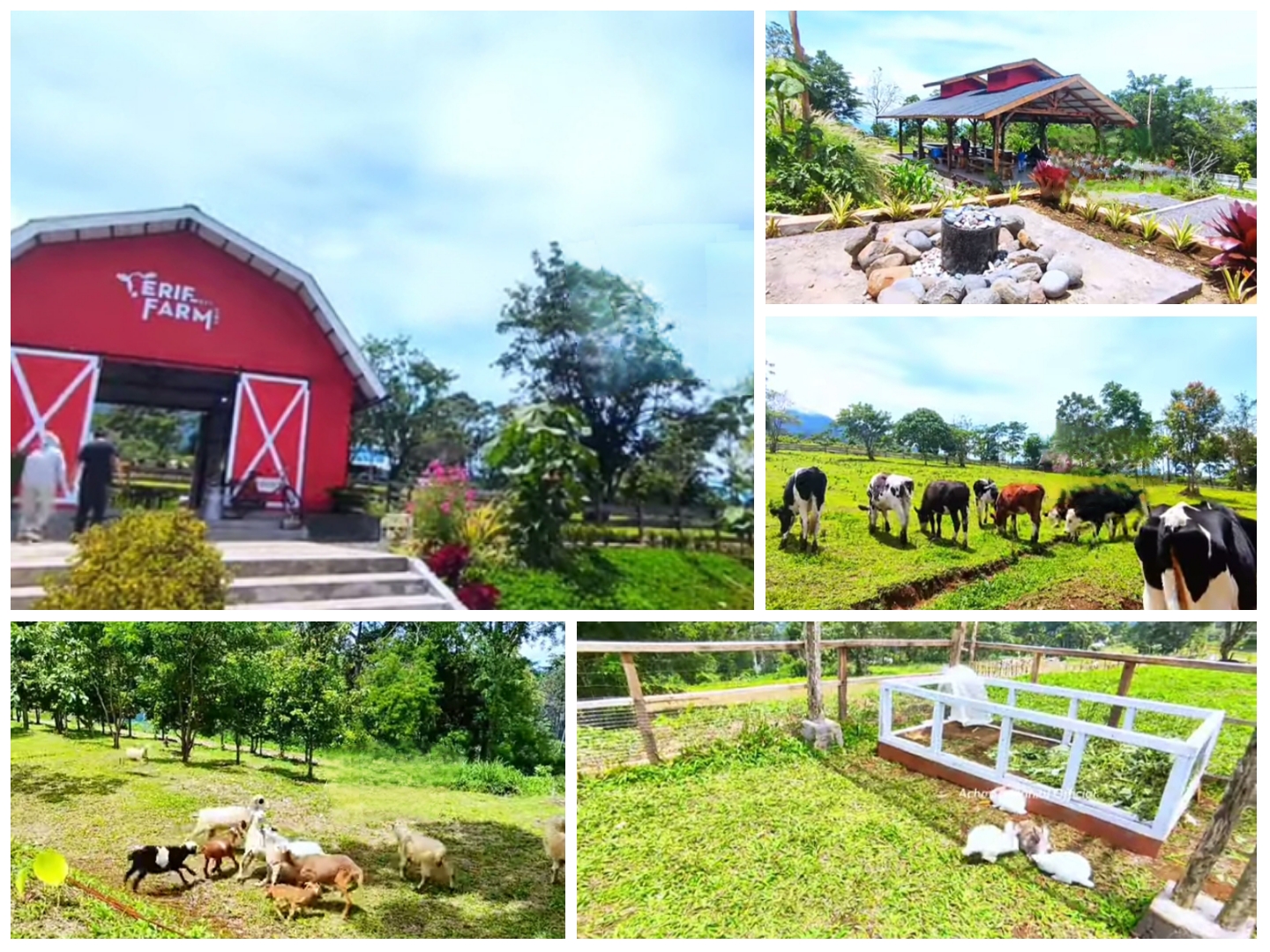 View Erif Farm, Full Alam dengan segala fasilitasnya.