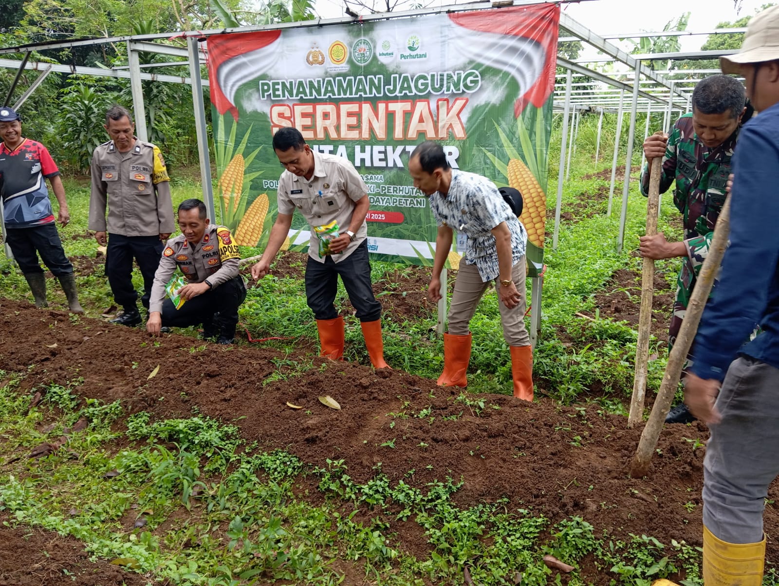 Program tanam jagung Polri yang diikuti Polsek Bogor Selatan di Mulyaharja, secara serentak di seluruh Indonesia.