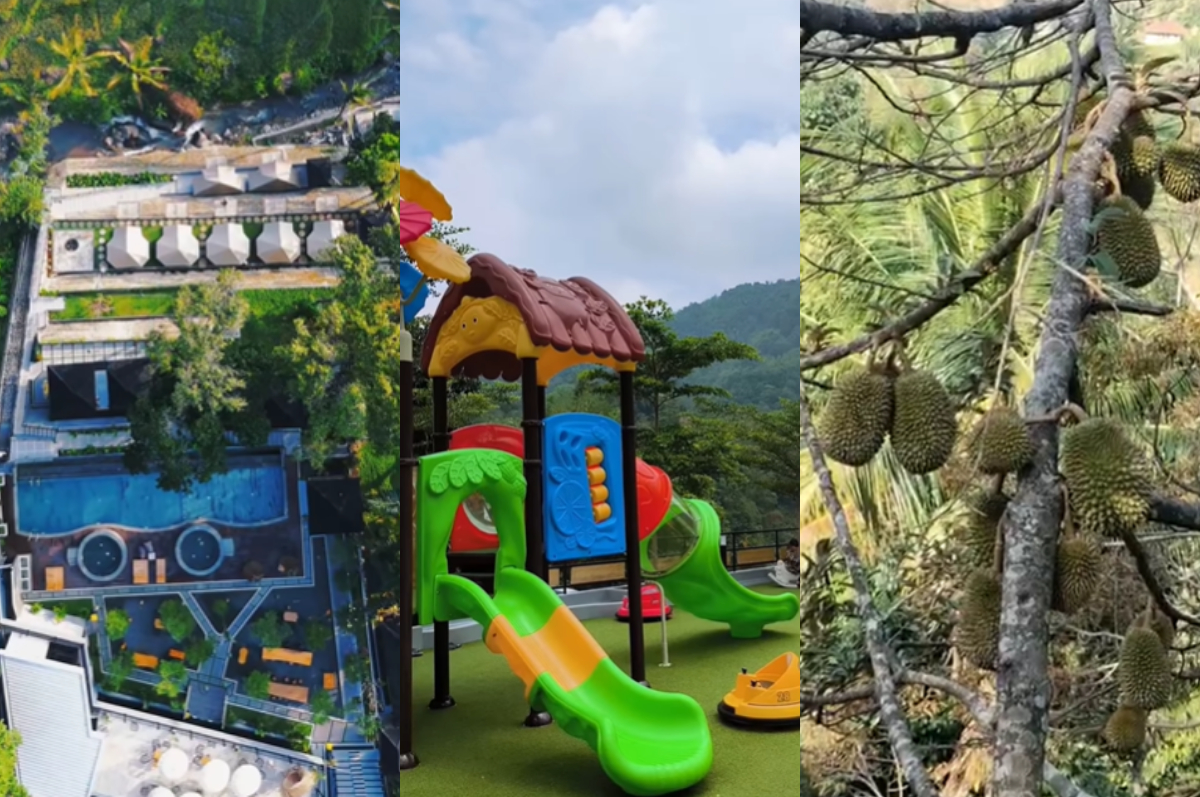 Kebun Durian Sangiang Bedil lengkap dengan kolam renang, glamping, mini playground, kebun durian, dan fasilitas lainnya.