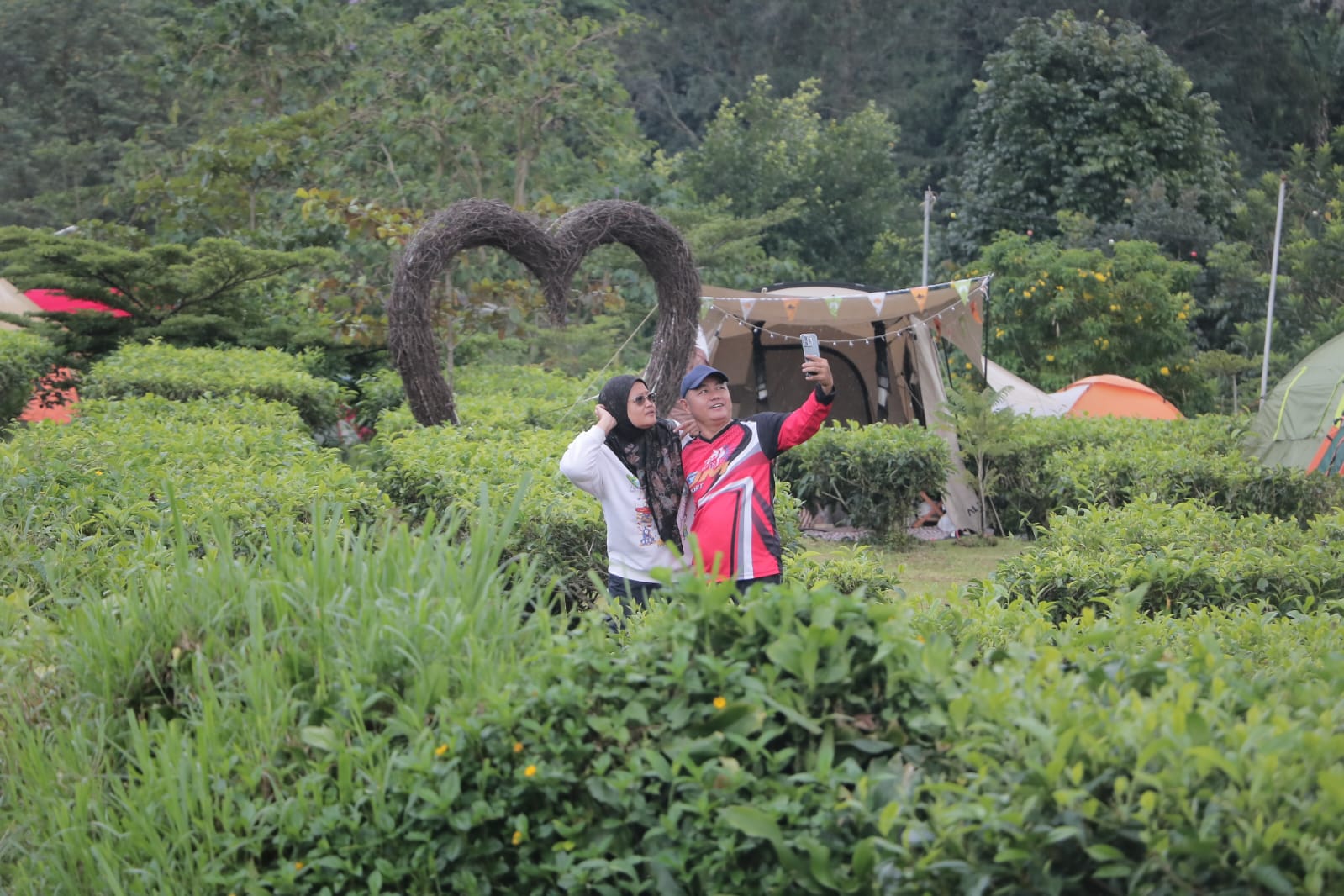 Perkebunan Teh Gunung Mas Kawasan Puncak Kabupaten Bogor diserbu wisatawan.