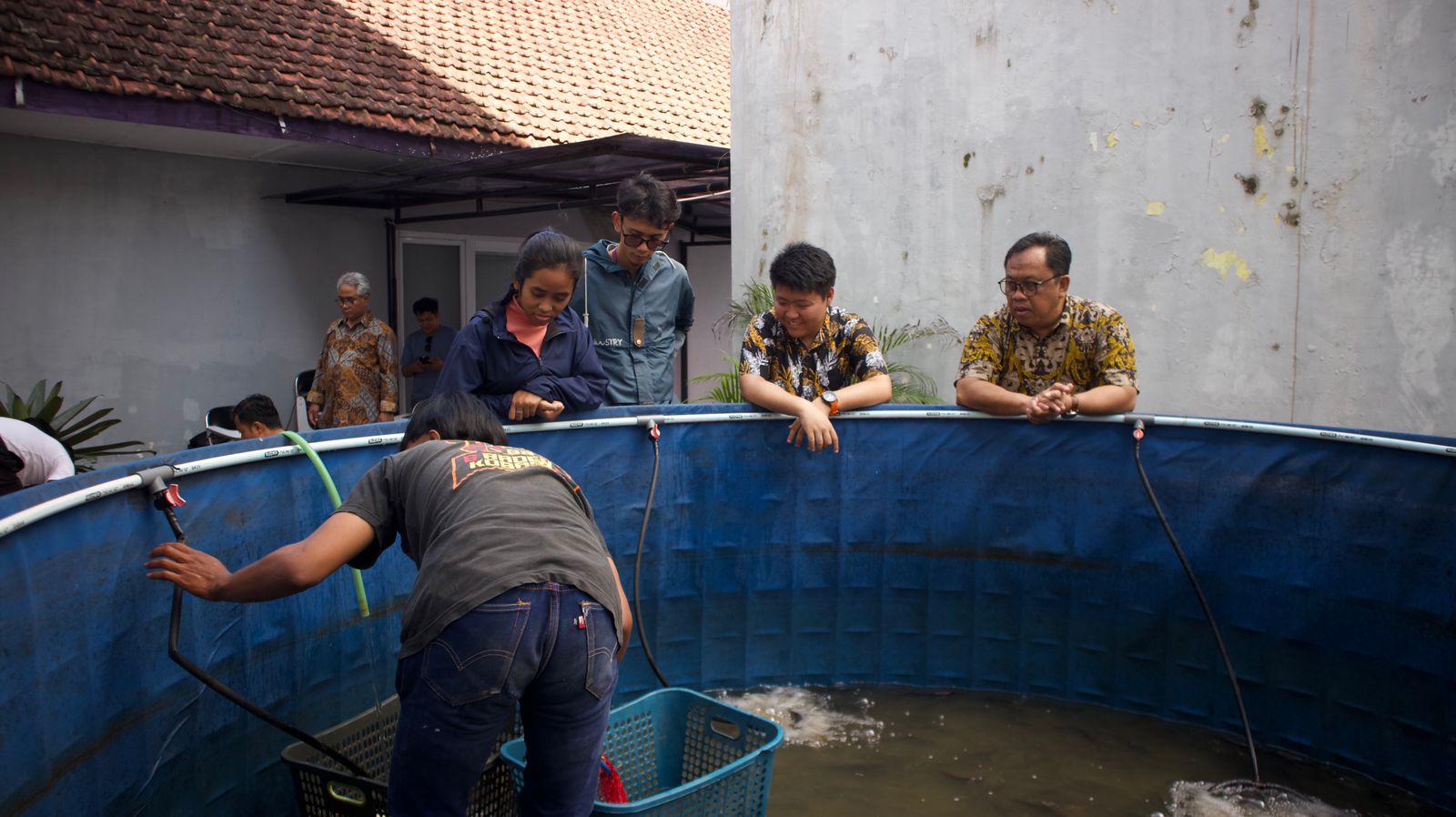Panen Ikan nila hasil budidaya menggunakan metode bioflok di Kampus IBIK Bogor Jumat (24/1/2025)