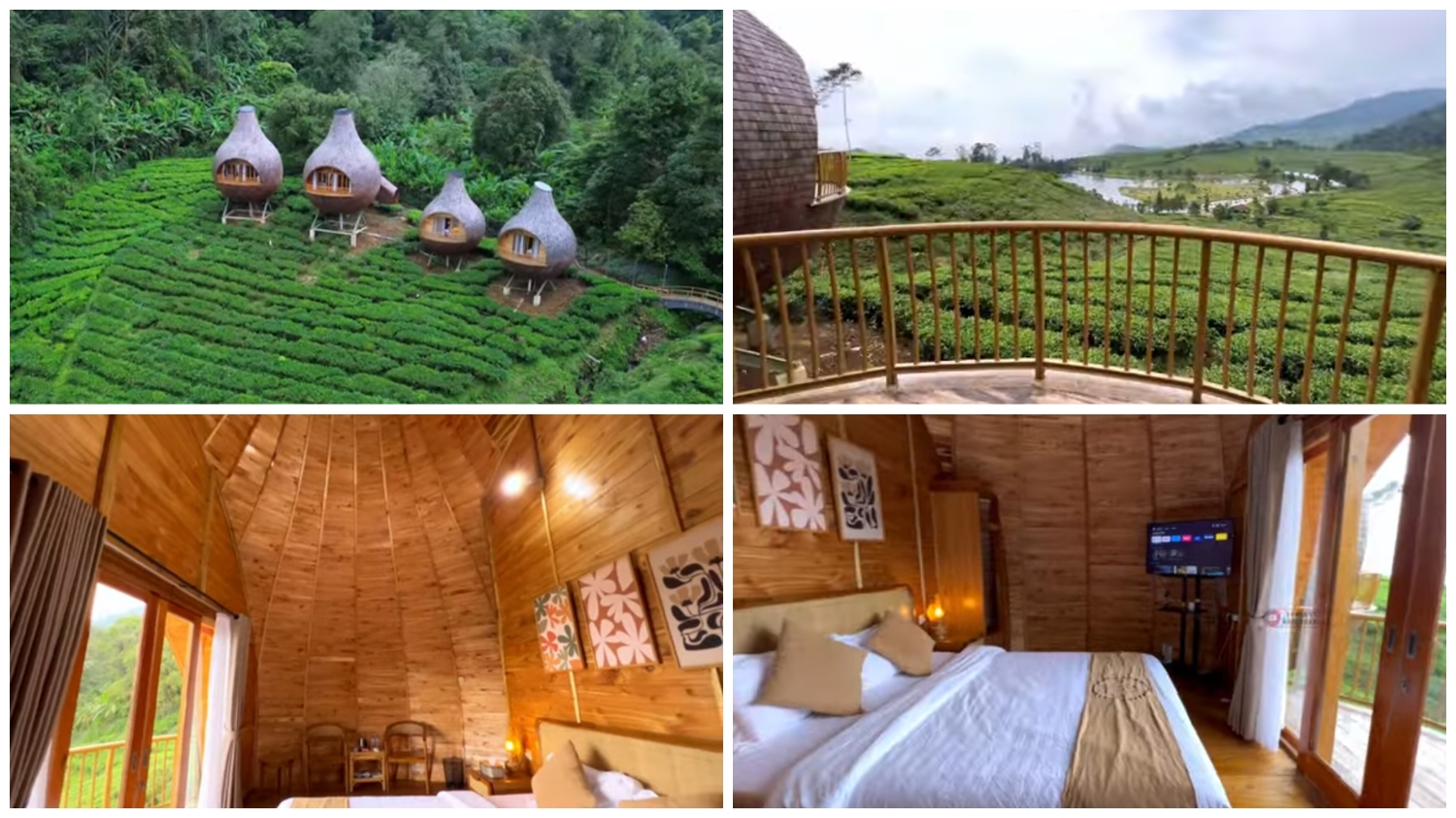 The Ciliwung Adventure Camp tempat penginapan dengan konsep rumah burung di Bogor.