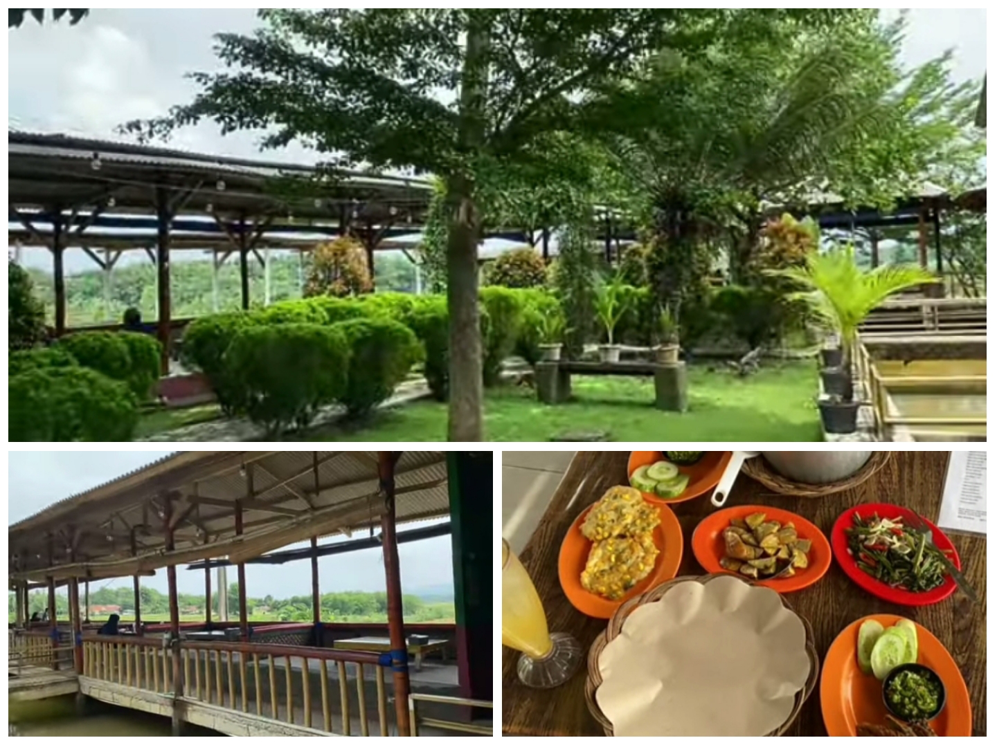 Saung Tepi Sawah Bogor, Spot Kulineran Asik, View Alam.