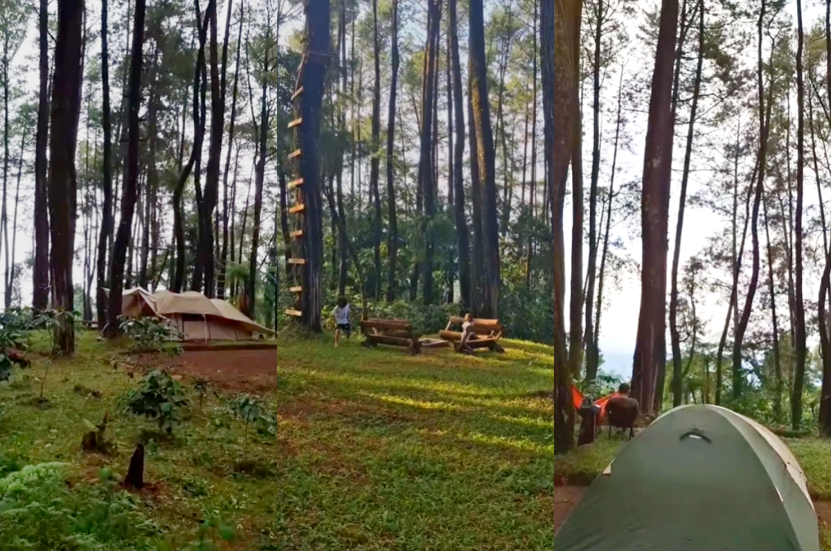 Suasana di Taman Pinus Camping Ground Megamendung, Bogor.