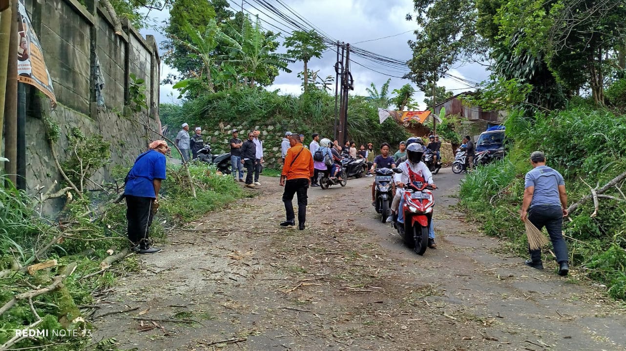 Pohon tumbang menutup akses jalan alternatif Cijeruk - Cigombong, Kampung Nagrak, Desa Cipelang, Cijeruk, Bogor.