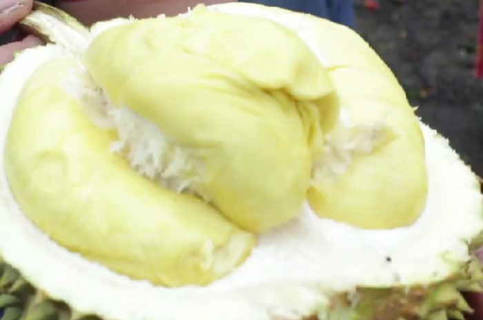 Durian Petruk jadi salah satu rekomendasi saat nongkrong di Bogor.