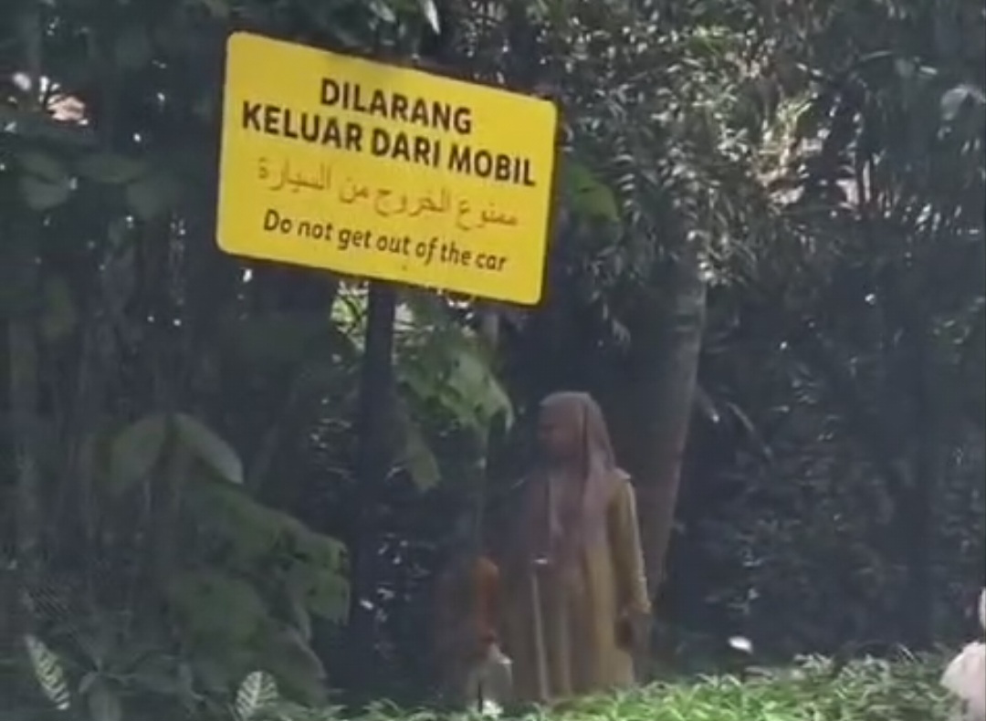 Pengunjung Taman Safari Indonesia Bogor turun dari mobil saat Safari Journey.