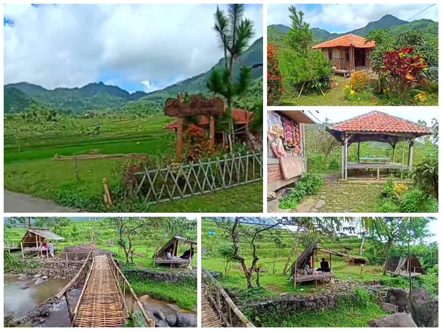 Kondisi warung kopi tengah sawah, Sudut Pandang 95 Bogor.