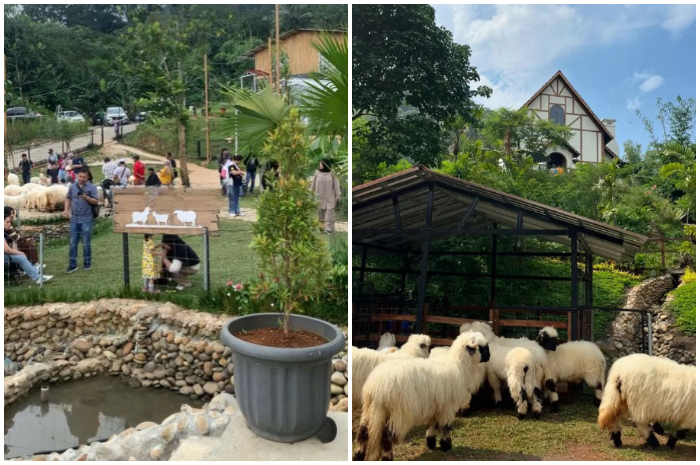 Suasana Wisata Bukit Domba Sentul Bogor