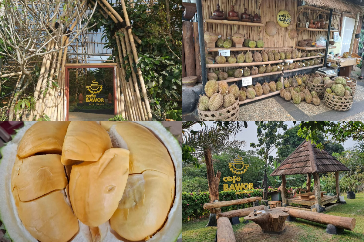 Nikmati durian langsung di kebunnya di Cafe Bawor Jaya Nagara Bogor.