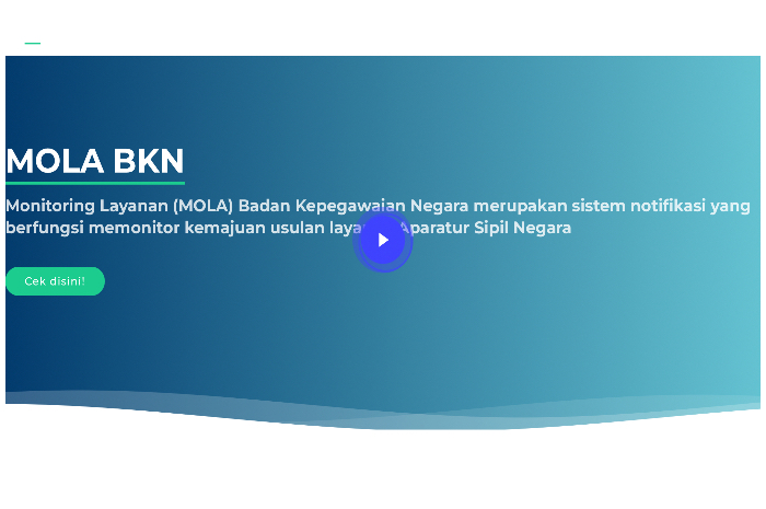 Tampilan laman Mola BKN untuk cek NIP CPNS dan NI PPPK.