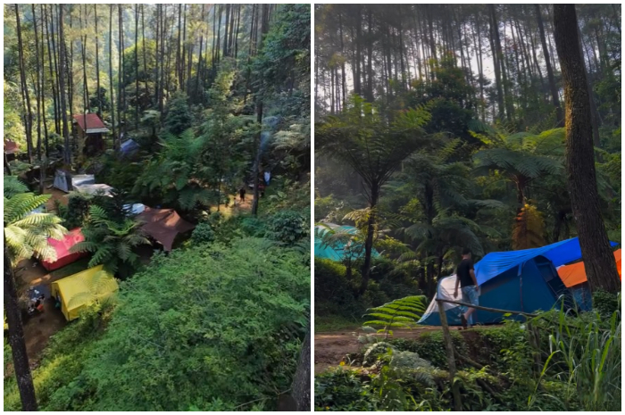 Suasana Kampung Rimba di Kawasan Puncak Bogor