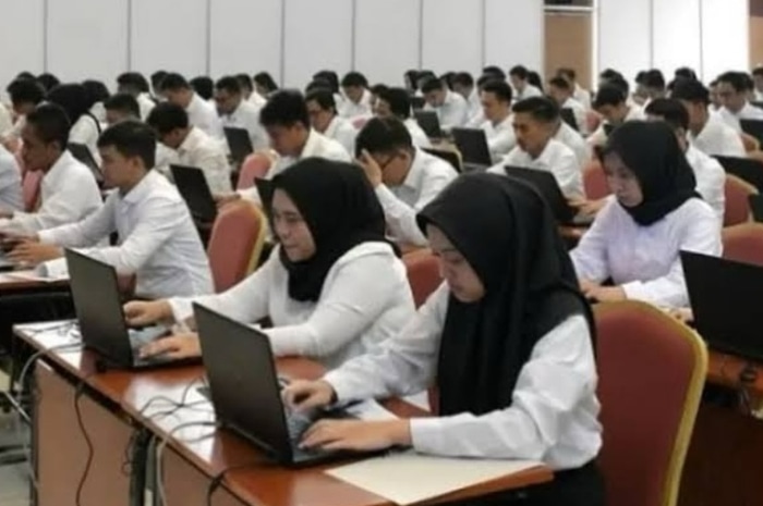 Penyebab pembatalan pengangkatan honorer menjadi PPPK paruh waktu.&nbsp;