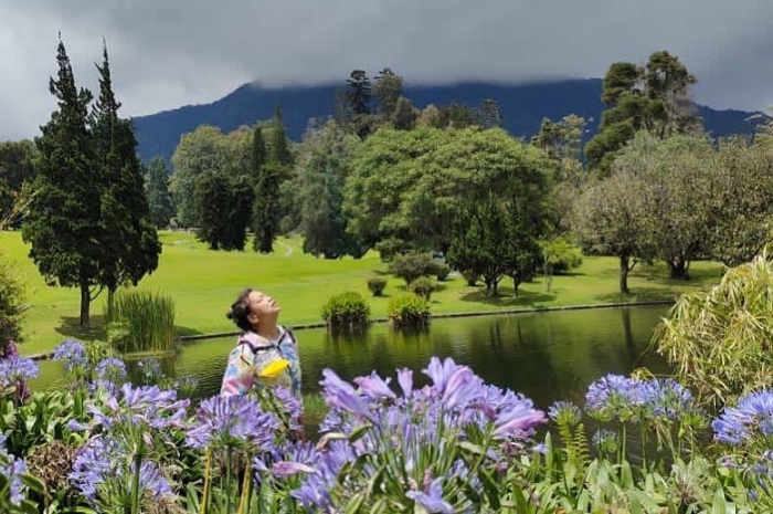 Suasana Kebun Raya Cibodas