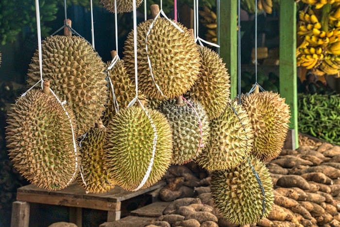 Ilustrasi buah durian yang banyak digemari tetapi patut diwaspadai efek sampingnya.