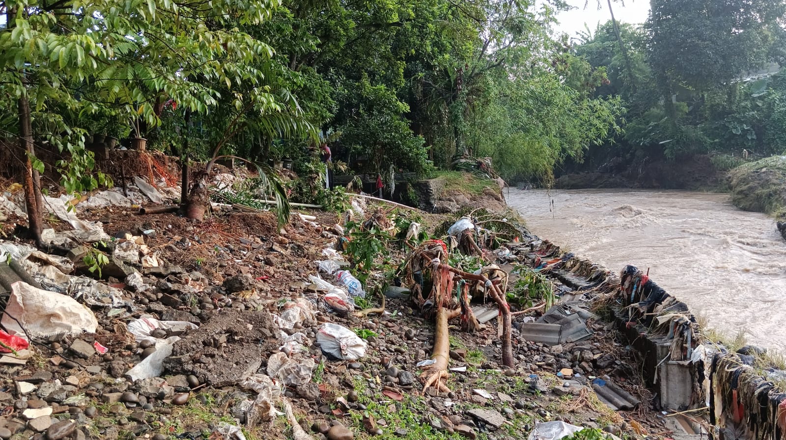 Kondisi pinggiran kali yang digunakan warga Kampung Pabaton Indah Bogor untuk kebun KWT dan taman kini rata setelah disapu banjir.