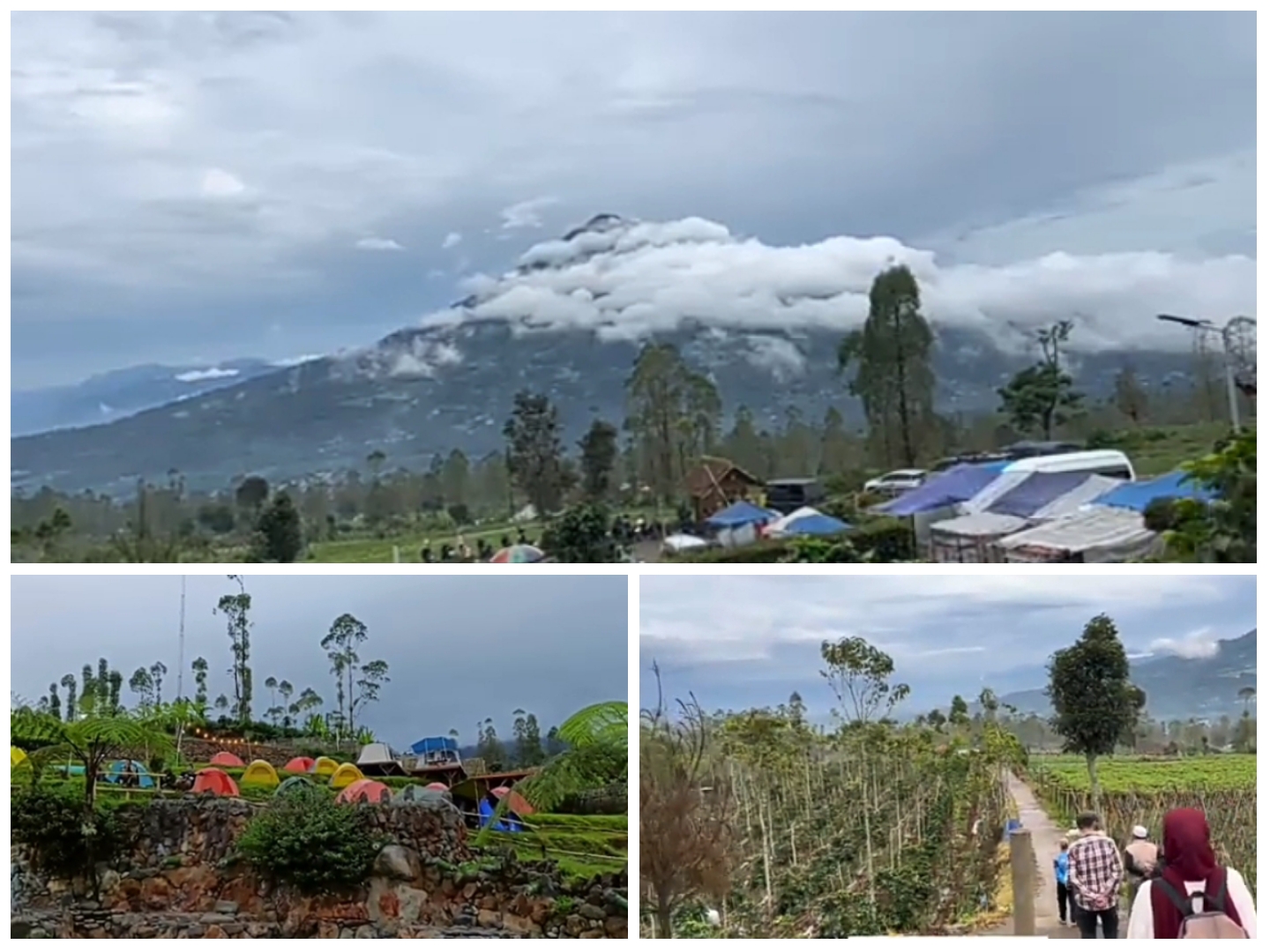 Sekilas view hidden gem, Agrowisata Teras Papandayan.