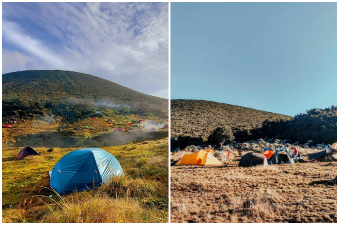 Suasana camping di Alun-Alun Suryakencana Gunung Gede.
