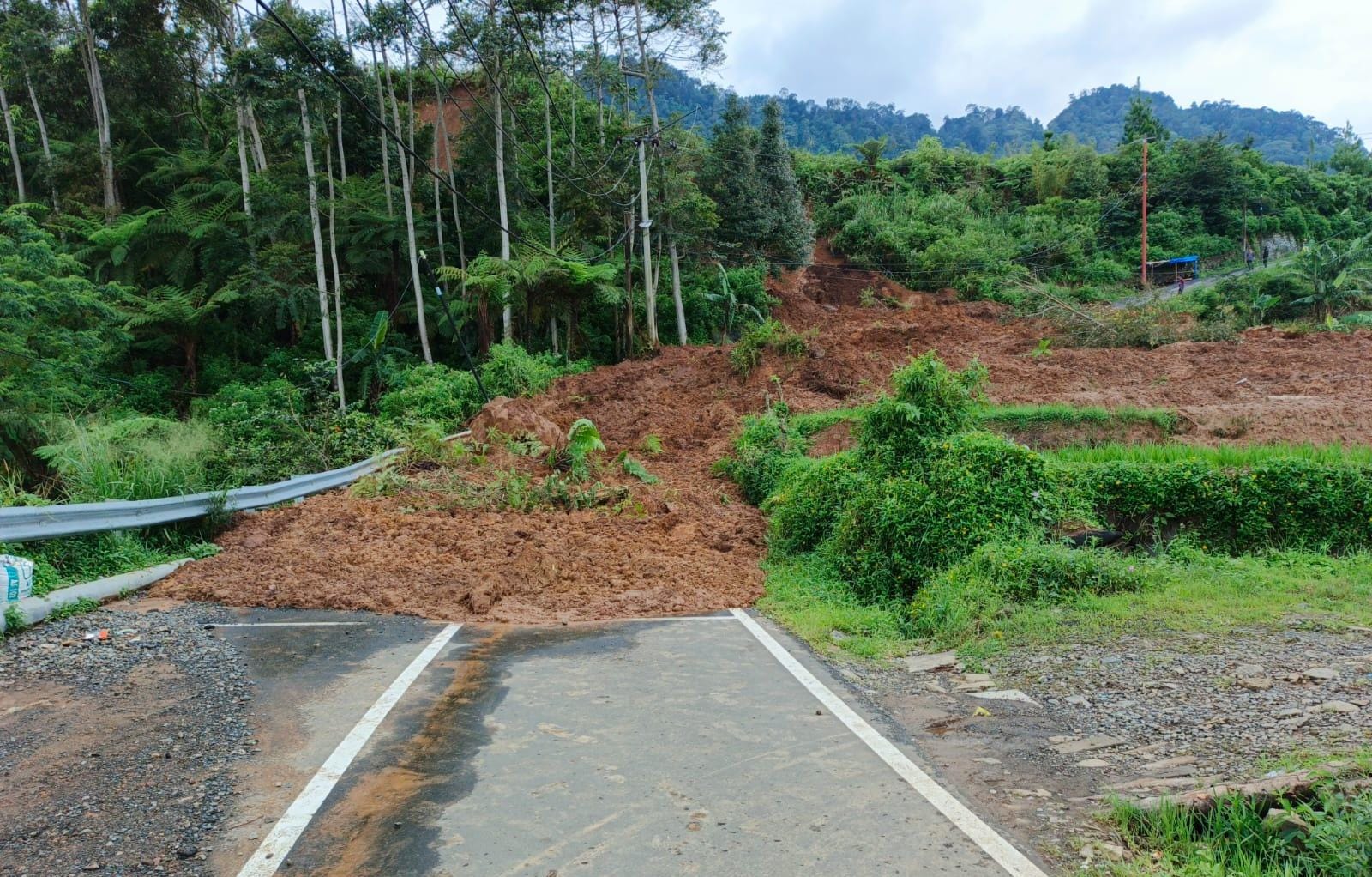 Longsor di tanjakan 2000 Jalur Puncak Dua Sukamakmur Bogor.