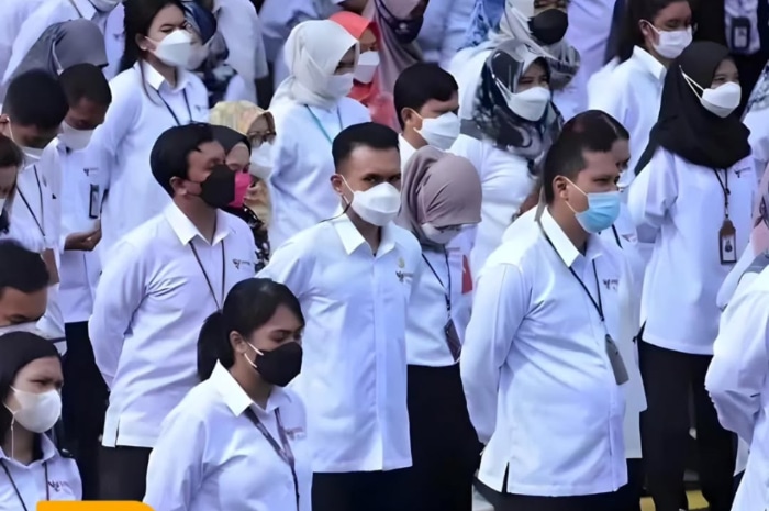 Ilustrasi PPPK dan penjelasan UU Nomor 20 Tahun 2023