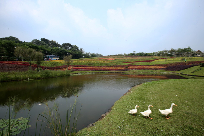 Suasana Garden Vimala Hills di kawasan Megamendung Bogor
