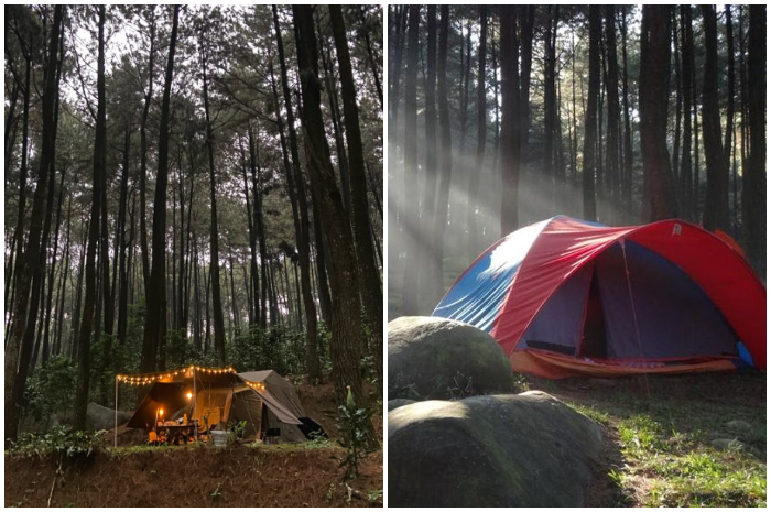 Suasana berkemah di kawasan wisata alam Gunung Pancar Bogor.