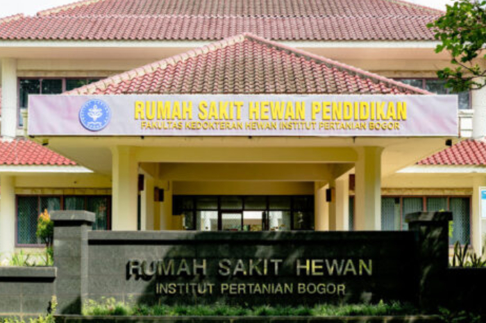 Rumah Sakit Hewan Pendidikan (RSHP) milik Sekolah Kedokteran Hewan dan Biomedis (SKHB) IPB University bisa menjadi tempat penitipan hewan saat mudik Lebaran 2025.
