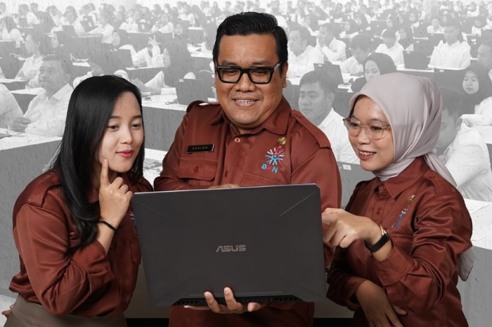 Ilustrasi daftar 29 daerah yang kemungkinan besar akan melaksanakan pengangkatan PPPK pada April 2025.