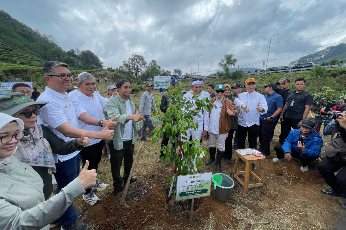 Menteri Kehutanan Rajajuli Antoni bersama Gubernur Jawa Barat Dedi Mulyadi, Direksi PTPN I, serta Direksi Perhutani melakukan aksi penanaman pohon di Kebun Gunung Mas, Cisarua, Bogor.
