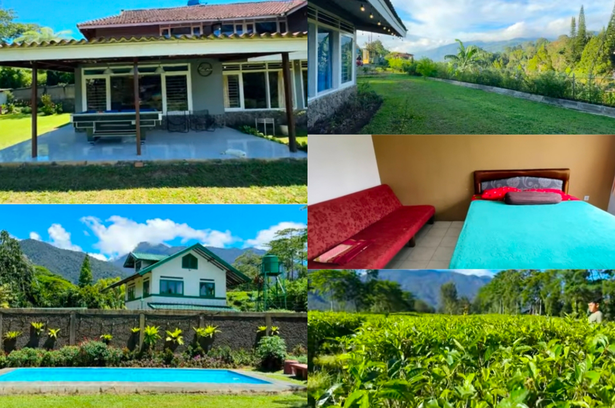 Villa Molek merupakan penginapan di Bogor dengan the best view.