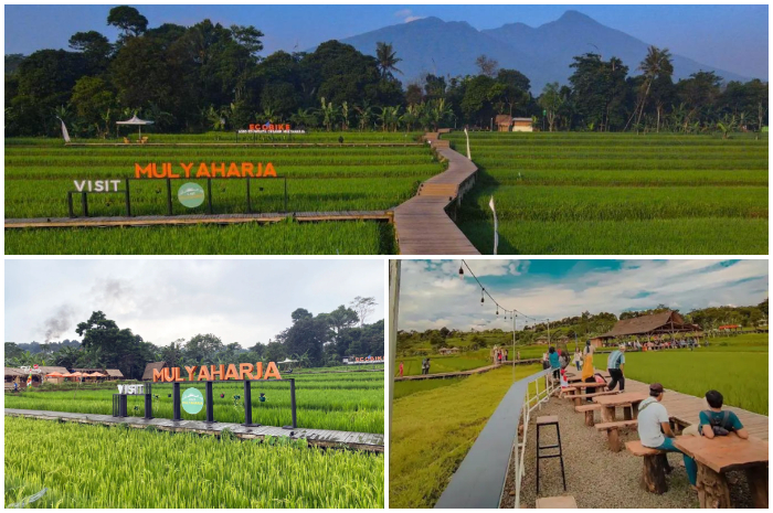 Agro Eduwisata Organik Mulyaharja  di Kota Bogor