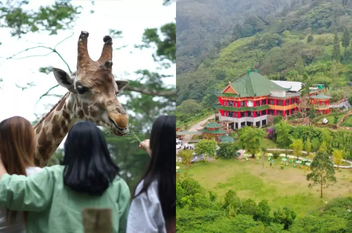 Libur Lebaran seru ke Taman Safari Bogor.