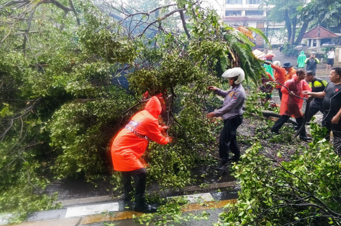 Petugas mengevakuasi pohon tumbang di Kota Bogor, Selasa (1/4/2025).