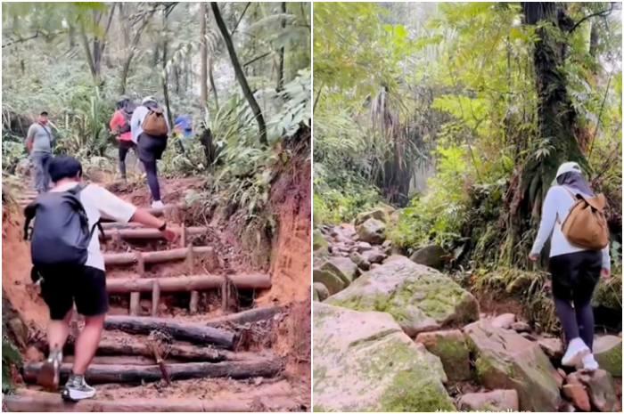 Suasana pendakian di Taman Nasional Gunung Halimun Salak (TNHGS).