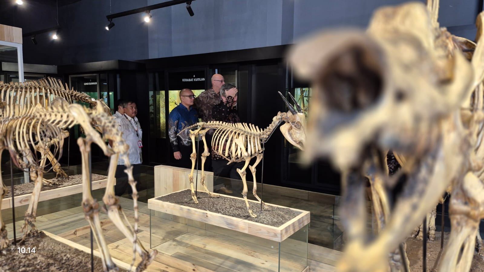Tampilan terbaru Museum Zoologi pasca revitalisasi.