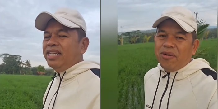 Gubernur Jawa Barat Dedi Mulyadi apresiasi supir angkor Puncak Bogor Cipanas