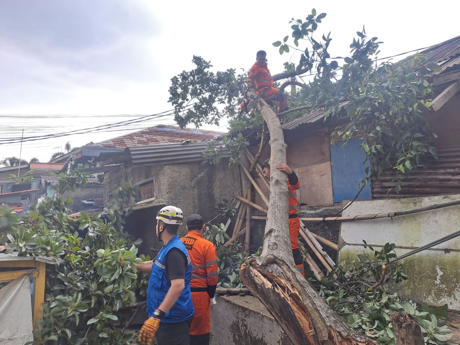 Penanganan pohon tumbang di Perumnas, Baranangsiang, Kecamatan Bogor Timur oleh personel BPBD Kota Bogor.