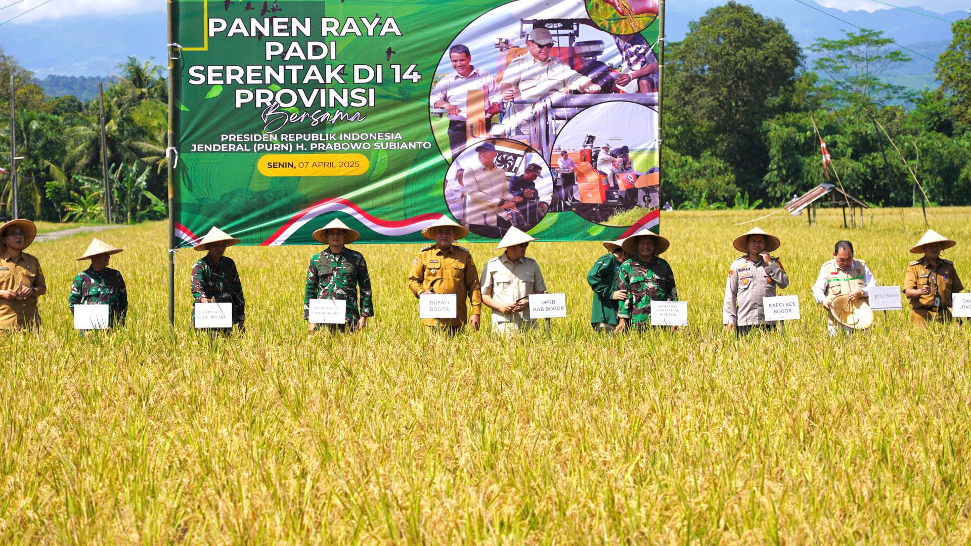 Bupati Bogor, Rudy Susmanto saat panen raya nasional serentak se-Indonesia di Desa Singasari, Kecamatan Jonggol, Kabupaten Bogor, Senin (7/4/2025).